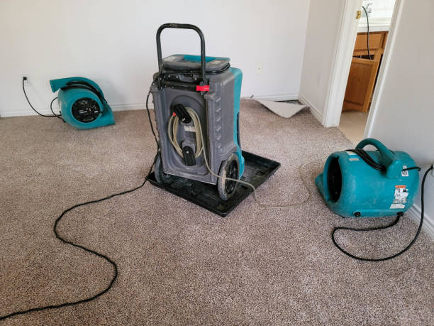 Best 24-hour water damage restoration  in Wagner, SD
