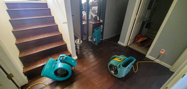 Best Flooded house restoration  in Wagner, SD