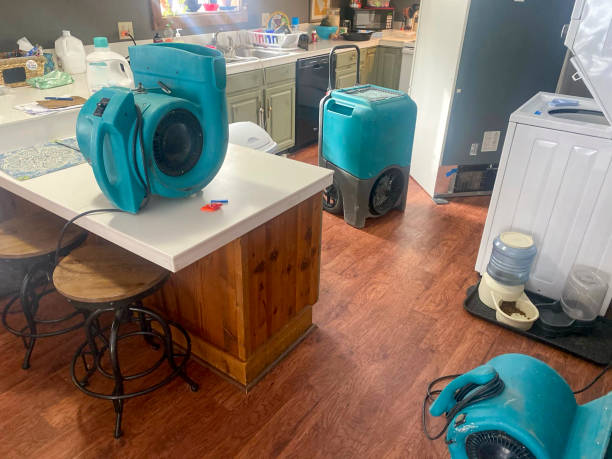 Best Sewage cleanup and water damage restoration  in Wagner, SD