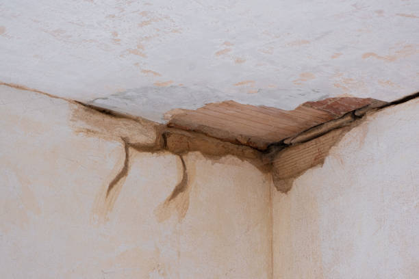  Wagner, SD Water damage restoration Pros