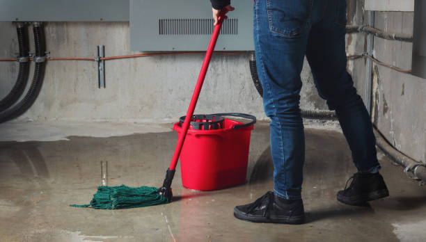 Best Emergency water extraction  in Wagner, SD