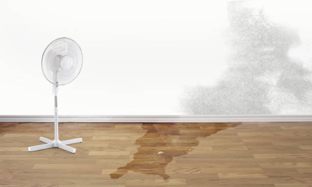 Best Flood restoration services  in Wagner, SD