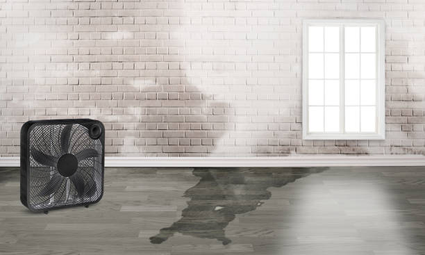 Best Emergency water damage restoration  in Wagner, SD
