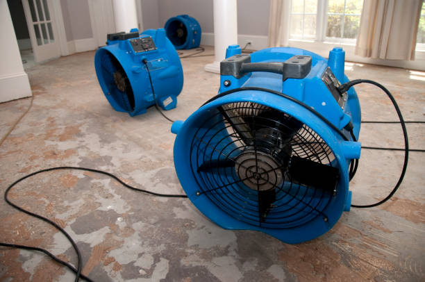 Reliable Wagner, SD Water damage restoration Solutions