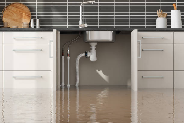 Best Water damage cleanup near me  in Wagner, SD
